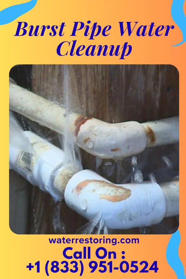 Burst Pipe Water Cleanup in Athens, OH