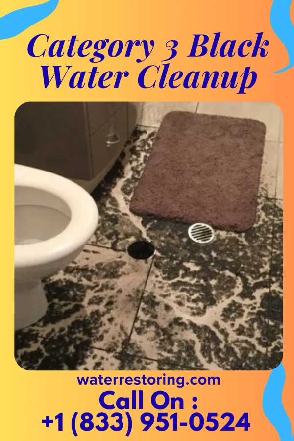 Category 3 Black Water Cleanup in Athens, OH
