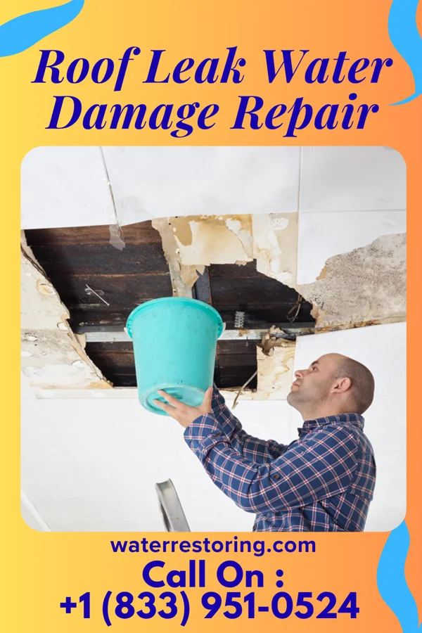 Roof Leak Water Damage Repair in Athens, OH
